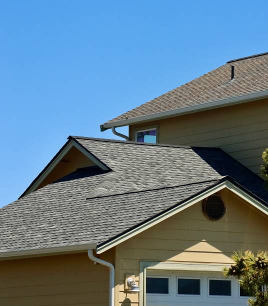 Best Roof Moss and Algae Removal  in Palos Verdes Estates, CA